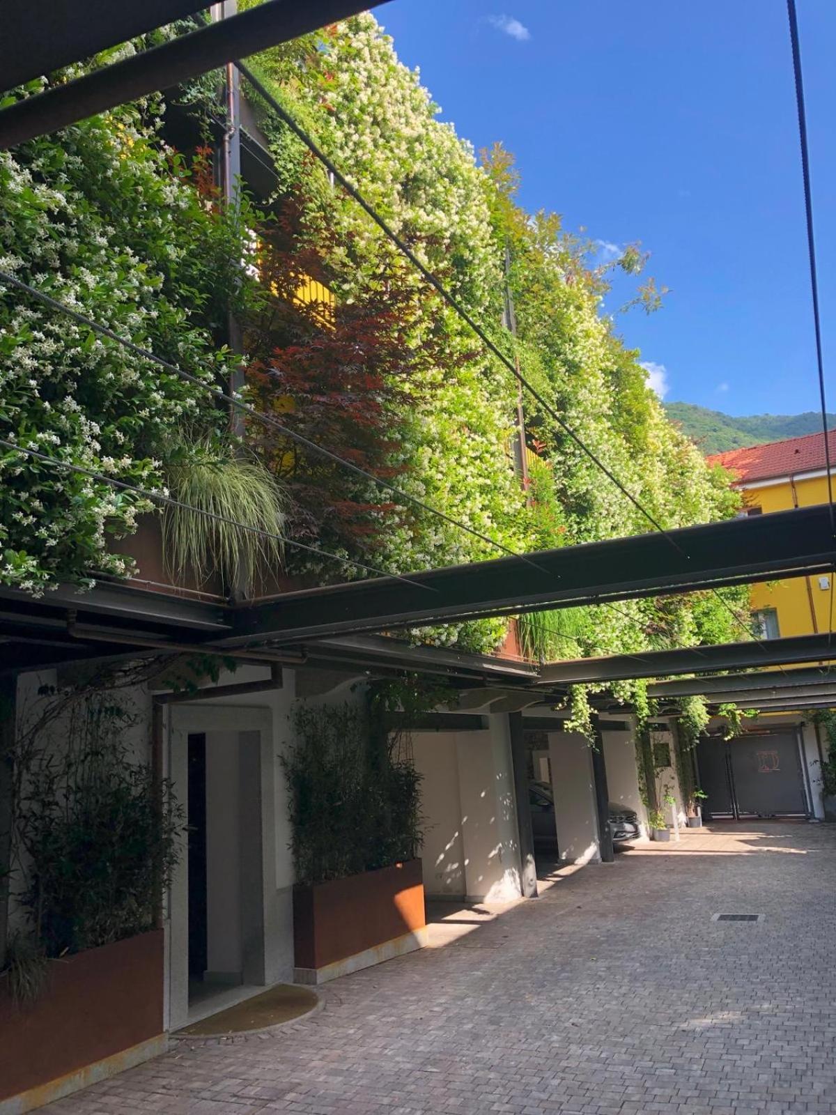 Residence Casa Coppa-appartamento Aster-NUOVA APERTURA Omegna Esterno foto